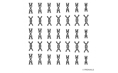 [28106] Pronails Nail Stickers Inca